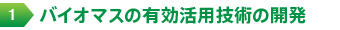 １）バイオマスの有効活用技術の開発